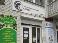 Сокол