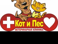 Пёс и кот